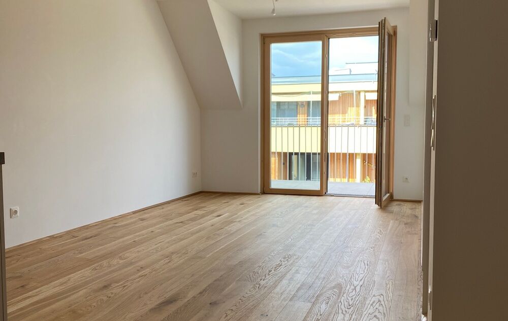 IMG_2336_small IMG_2336_small