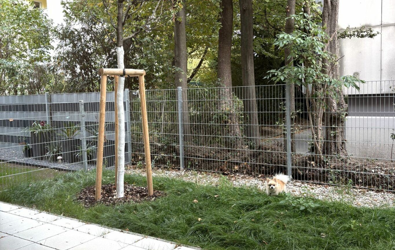 Garten Garten