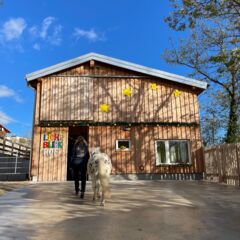 Lichtblickhof_Schutzengelstall Lichtblickhof_Schutzengelstall