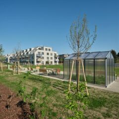 Gartenhaus  Gartenhaus