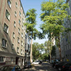 Straße 1100