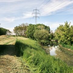 Liesingbach Liesingbach