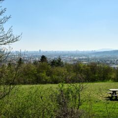 Bisamberg  Bisamberg