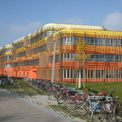 Zimmerei WU Holzlamellen Zimmerei WU Holzlamellen