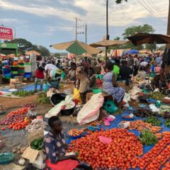 IMG-20211003-WA0004 IMG-20211003-WA0004