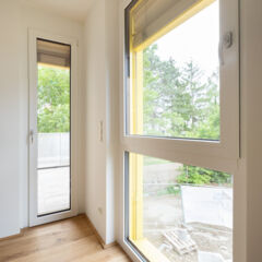 Ansicht Fenster Habitzlgasse 