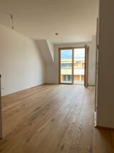 IMG_2336_small IMG_2336_small