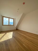 IMG_2339_small IMG_2339_small