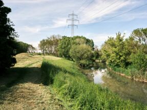 Liesingbach Liesingbach