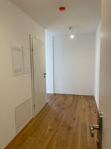 IMG_4741_small IMG_4741_small