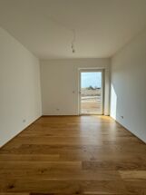 IMG_2893 IMG_2893