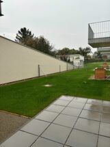 IMG_3066 IMG_3066