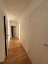 IMG_1025 IMG_1025