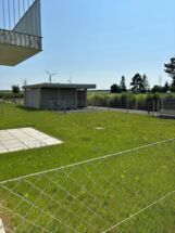 IMG_3515 IMG_3515