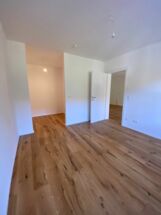 IMG_2559_small IMG_2559_small