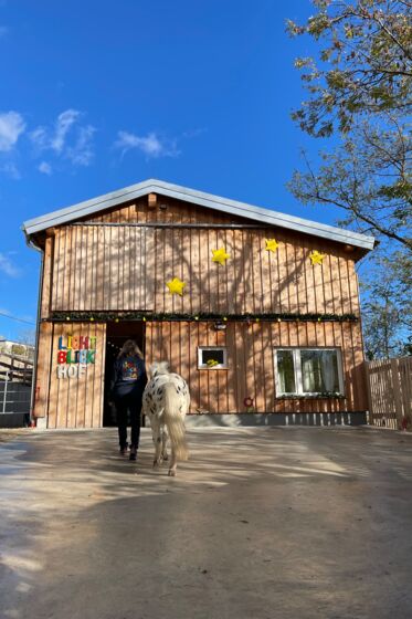 Lichtblickhof_Schutzengelstall Lichtblickhof_Schutzengelstall