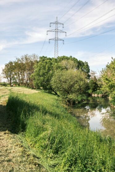 Liesingbach Liesingbach