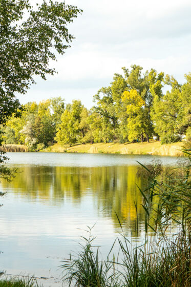 Lobau 