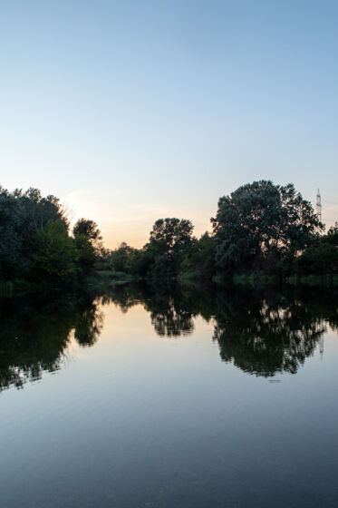 _MG_6238
