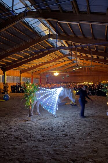 Lichtblickhof Schutzengelstall Eröffnungsfeier Lichtblickhof Schutzengelstall Eröffnungsfeier