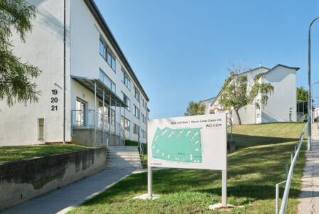 _DSF8462_Panorama _DSF8462_Panorama