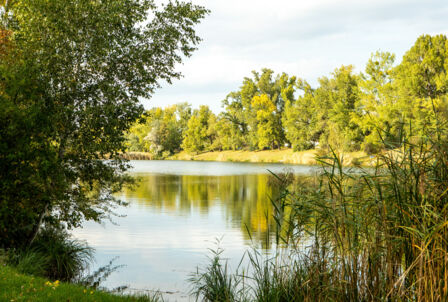 Lobau 