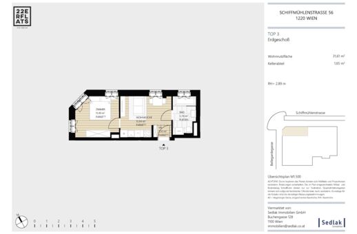 SCHIFF56_Top 3 SCHIFF56_Top 3