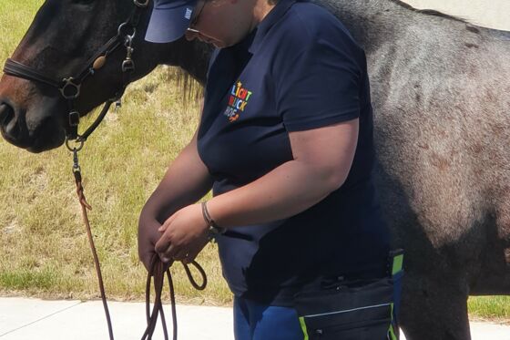 Lichtblickhof Pferd Lichtblickhof Pferd