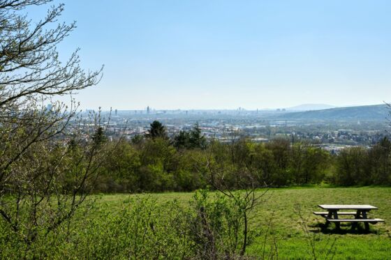 Bisamberg  Bisamberg