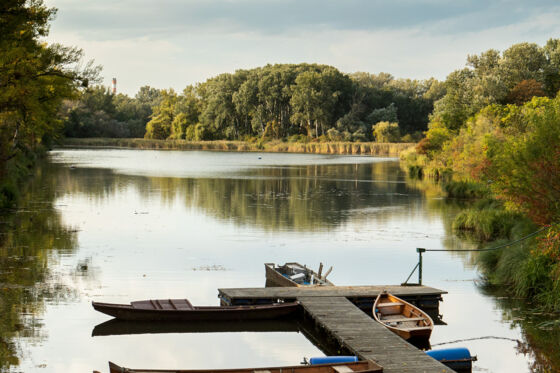 Boote 