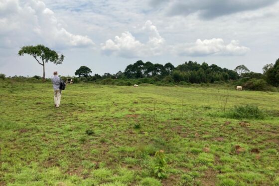 IMG-20211003-WA0008 IMG-20211003-WA0008