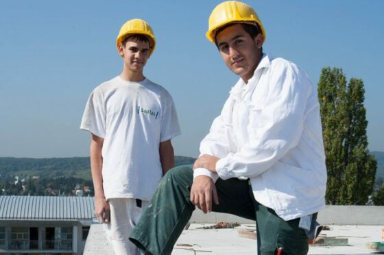 Sedlak Lehrlinge Sedlak Lehrlinge