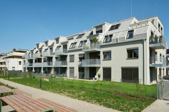Gartenansicht Stiege 2