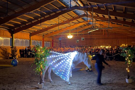 Lichtblickhof Schutzengelstall Eröffnungsfeier