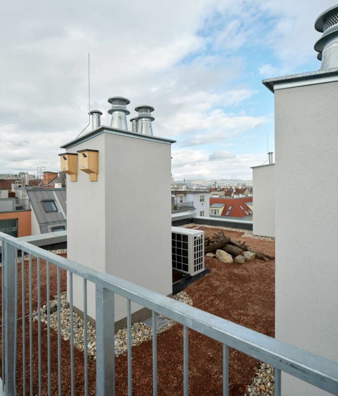 VDN Gasse_Vogelhäuser VDN Gasse_Vogelhäuser