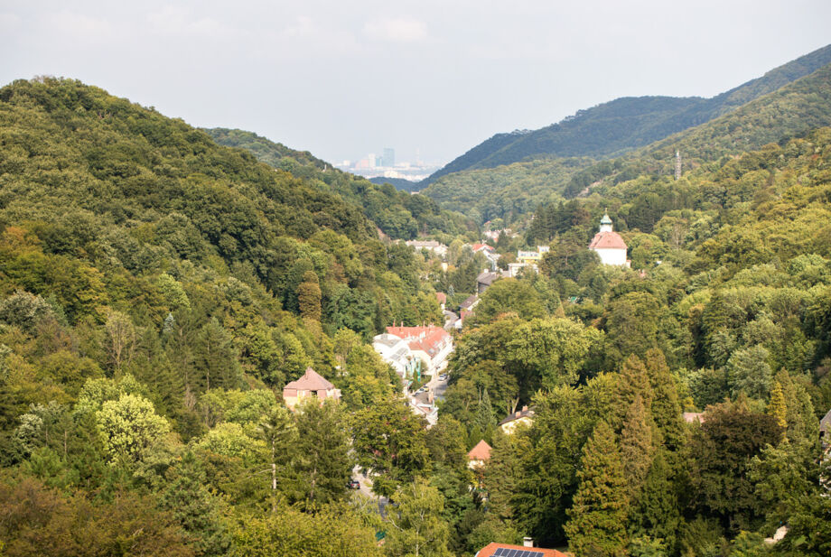 Wienblick Kaltenleutgeben